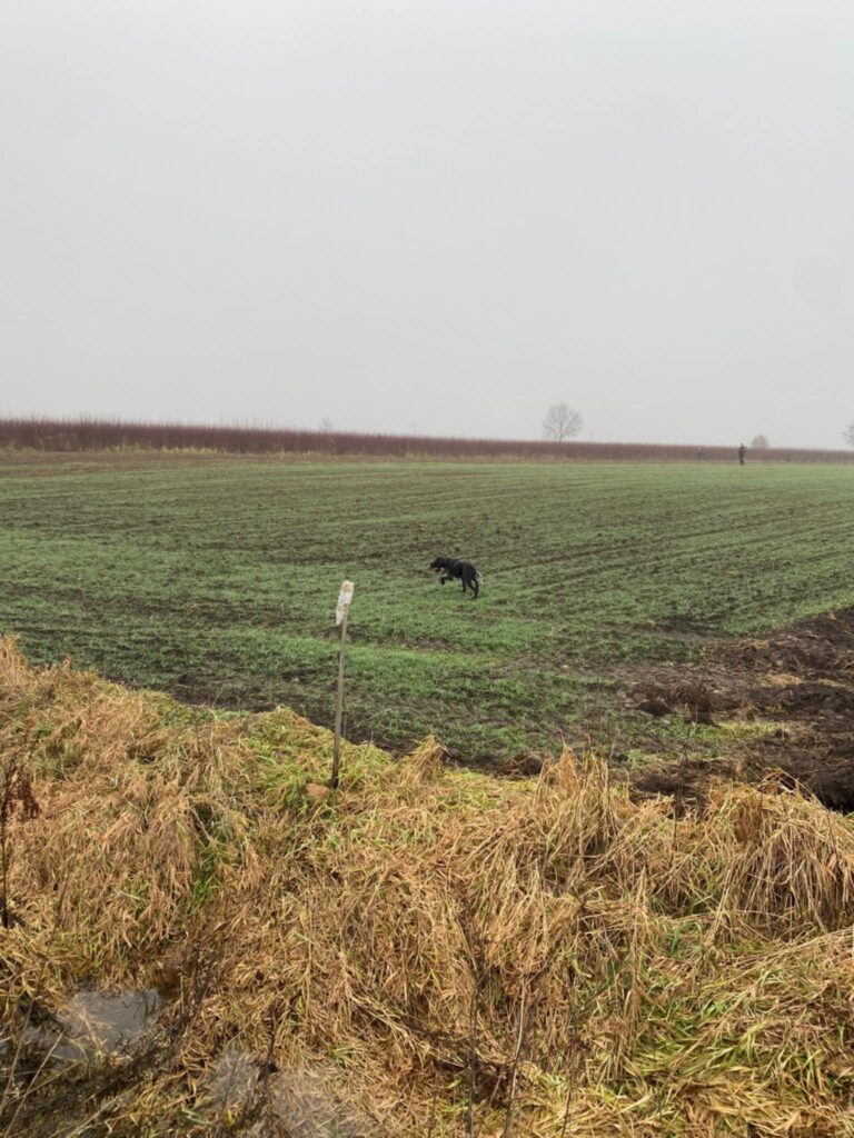 Polowanie na pióro  – 30.11.2025 r.  - 