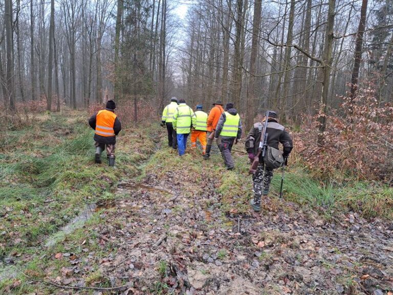 Polowanie zbiorowe – 20.12.2025 r.  - 
