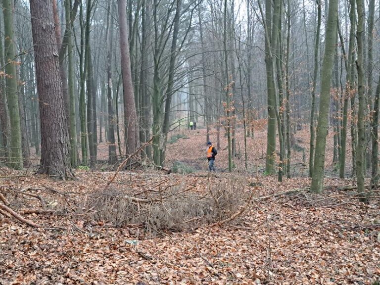 Polowanie zbiorowe – 20.12.2025 r.  - 