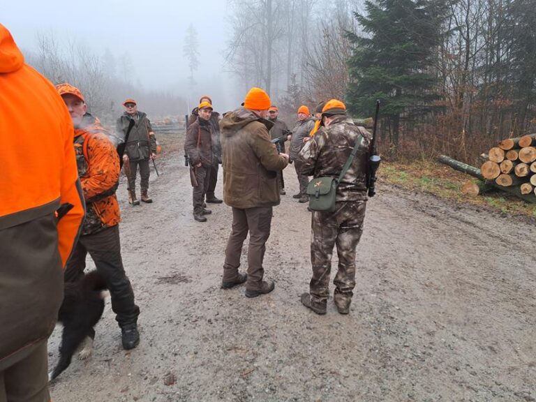Polowanie z psami – 21.12.2025 r  - 