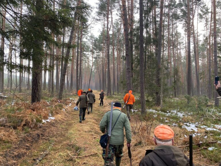 Zbiorówka – 29.11.2025 r.  - 