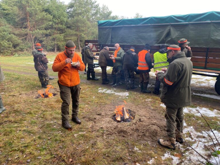 Zbiorówka – 29.11.2025 r.  - 