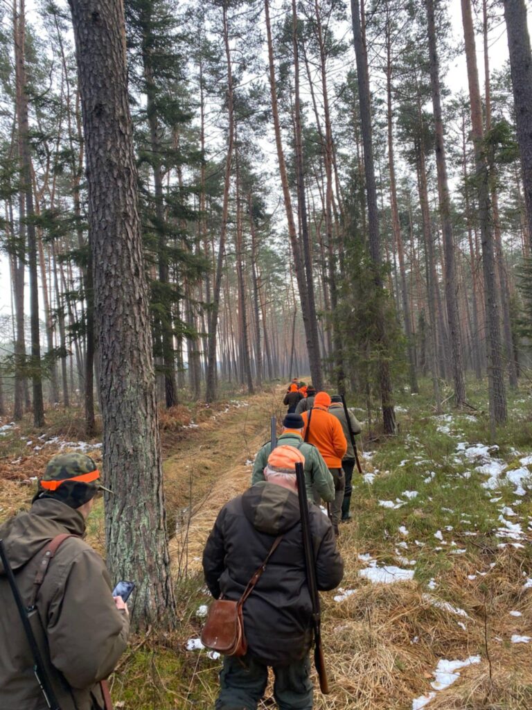 Zbiorówka – 29.11.2025 r.  - 