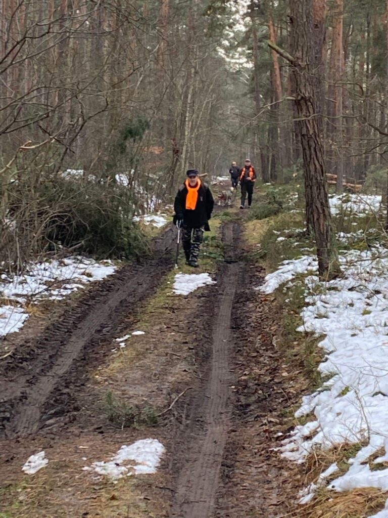 Zbiorówka – 29.11.2025 r.  - 