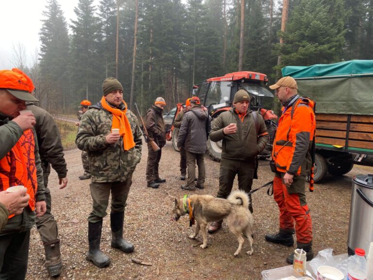 Polowanie z psami – 21.12.2025 r  - 