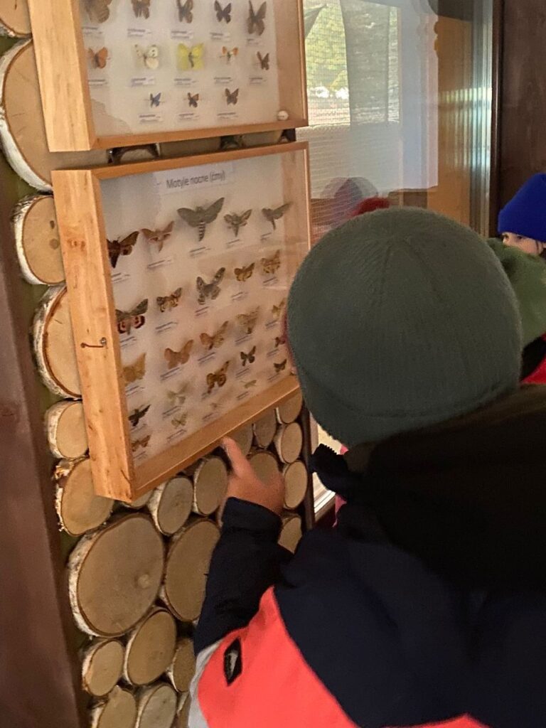 Akcja charytatywno – edukacyjna „Pomagamy zwierzętom przetrwać zimę”  - 