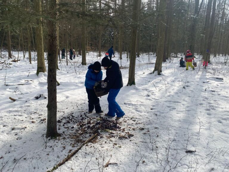 Akcja charytatywno – edukacyjna „Pomagamy zwierzętom przetrwać zimę”  - 