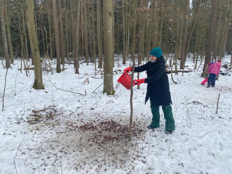 Akcja charytatywno – edukacyjna „Pomagamy zwierzętom przetrwać zimę”  - 