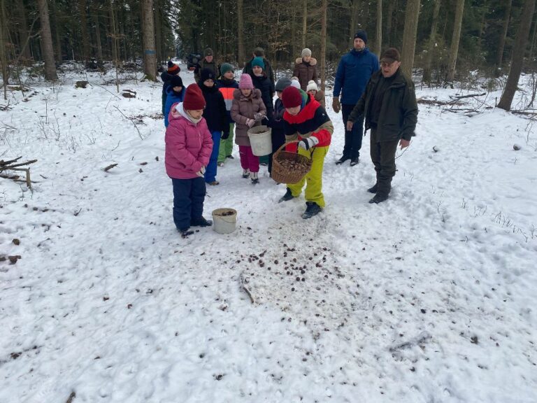 Akcja charytatywno – edukacyjna „Pomagamy zwierzętom przetrwać zimę”  - 