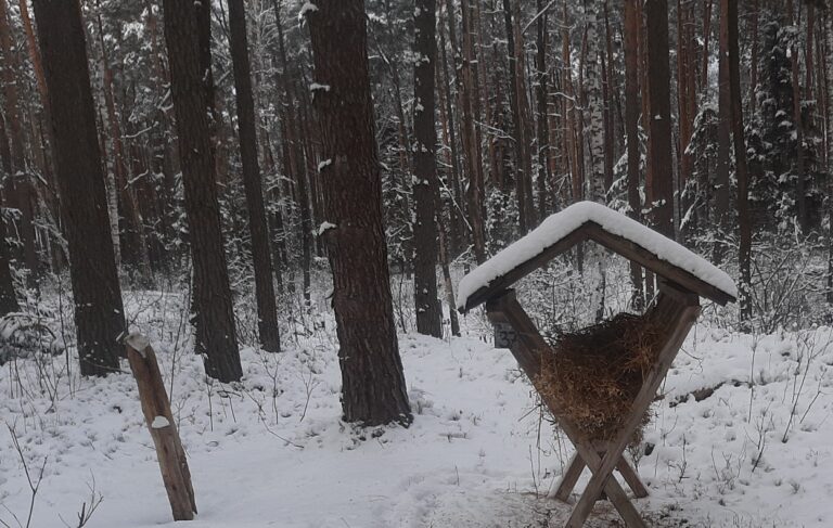 Akcja charytatywno – edukacyjna „Pomagamy zwierzętom przetrwać zimę”  - 