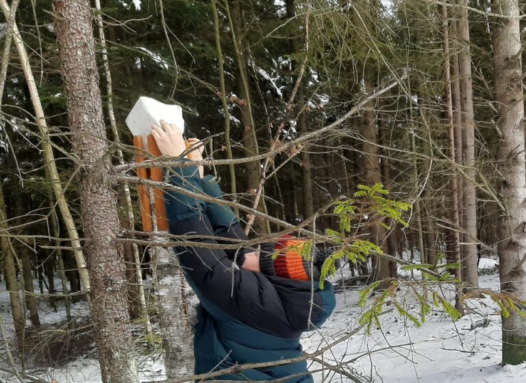 Akcja charytatywno – edukacyjna „Pomagamy zwierzętom przetrwać zimę”  - 