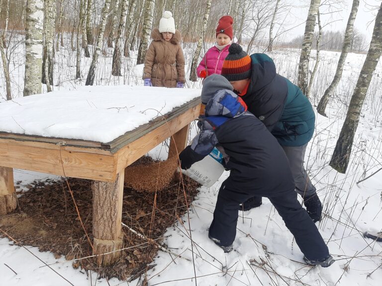 Akcja charytatywno – edukacyjna „Pomagamy zwierzętom przetrwać zimę”  - 